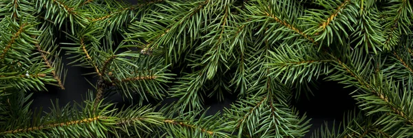 Kerstboomtakken. Het concept van het nieuwe jaar, kerst, natuur. Een spandoek. Vlakke lay, bovenaanzicht — Stockfoto