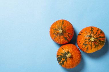 Mavi arka planda balkabakları. Hasat konsepti, Şükran Günü, yemek pişirme, sonbahar. Düz yatış, üst görünüm