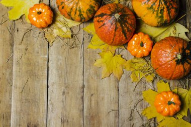 Olgun balkabakları, sonbahar yaprakları ve ahşap bir arka planda saman. Hasat konsepti, sonbahar, Cadılar Bayramı arifesi. Pankart. Düz yatış, üst görünüm