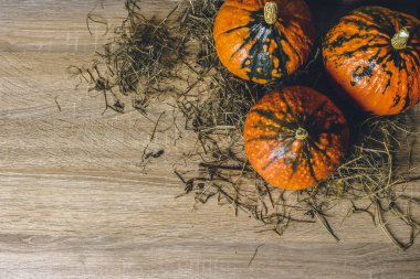 Ahşap bir arka planda olgun balkabakları. Hasat konsepti, sonbahar, Cadılar Bayramı arifesi. Pankart. Düz yatış, üst görünüm
