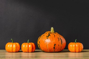 Karanlık bir arka planda balkabakları. Sonbahar, cadılar bayramı, hasat. Pankart