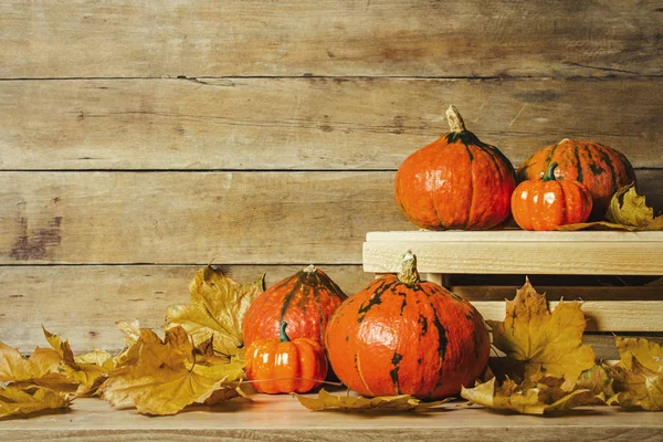 Citrouilles et boîte en bois sur un fond en bois. Concept d'Halloween, récolte, veille d'Halloween — Photo