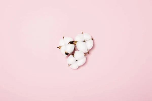 Pamut virágok rózsaszín háttérrel. 100 természetes termék koncepció. Lapos fekvésű, felülnézet — Stock Fotó