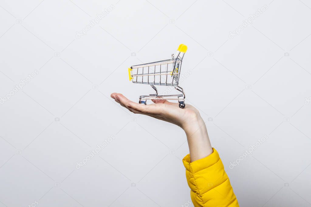 Hand holding shopping cart on a light background. Concept of buy shopping cart, online shopping, shopping.