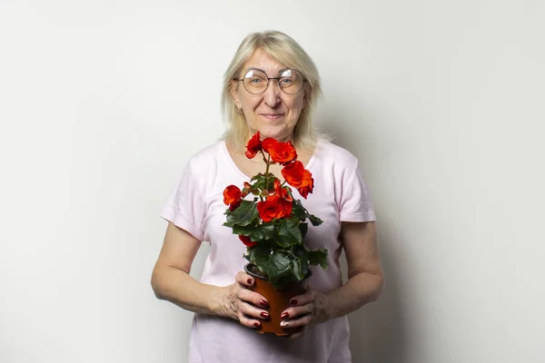 Portrait of an old friendly woman in a casual t-shirt and glasses holding a room flower on an isolated light background. Emotional face. The concept of plant care, home garden.