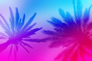 Çeşitli renklerin bulanık arkaplanı ve palmiye dallarının gölgesi. Duvar kağıdı olarak kullanılabilir. Tropik konsept. Düz yatış, üst görünüm.