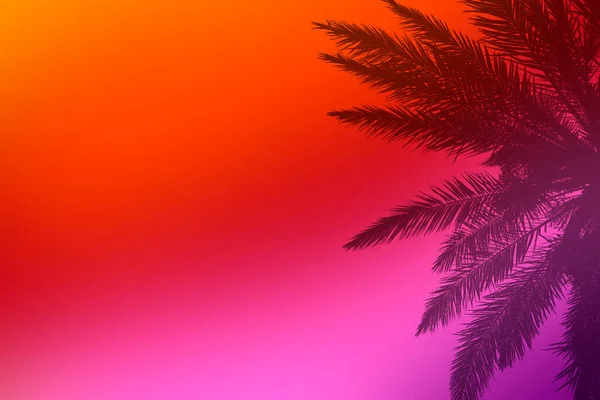 Çeşitli Renklerin Bulanık Arkaplanı Palmiye Dallarının Gölgesi Duvar Kağıdı Olarak — Stok fotoğraf