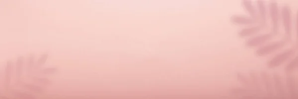 Fundo Rosa Abstrato Sombra Uma Folha Uma Fábrica Tropical Pode — Fotografia de Stock