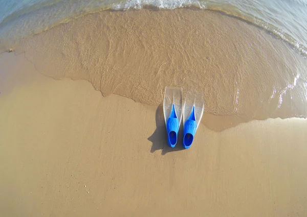 Nageoires bleues sur la mer dans le sable — Photo