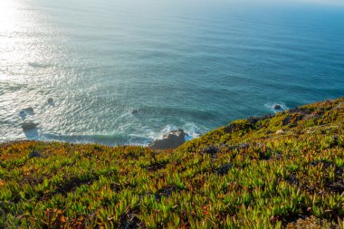 Cabo da Roca (Cape Roca), Portekiz, anakara Avrupa'nın en batıdaki nokta görünümünü.