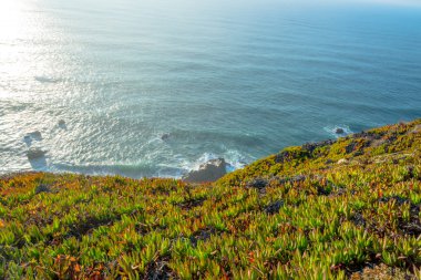Cabo da Roca (Cape Roca), Portekiz, anakara Avrupa'nın en batıdaki nokta görünümünü.