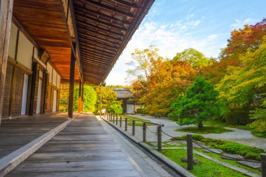 Japonya, Kyoto, Tenju bir tapınak Japonca akçaağaç ağaç ön planda, sonbahar
