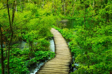 Plitvice Gölleri Milli Parkı - Plitvice, Hırvatistan, Avrupa