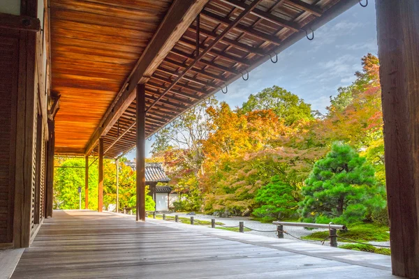 Japonya, Kyoto, Tenju bir tapınak Japonca akçaağaç ağaç ön planda, sonbahar