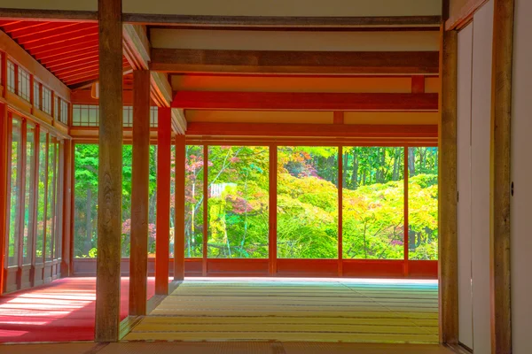 Japonya, Kyoto, Tenju bir tapınak Japonca akçaağaç ağaç ön planda, sonbahar