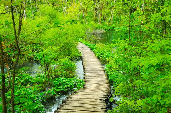 Plitvice Gölleri Milli Parkı - Plitvice, Hırvatistan, Avrupa