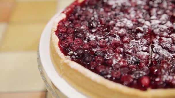Red Currant Tart loopable — Stock Video