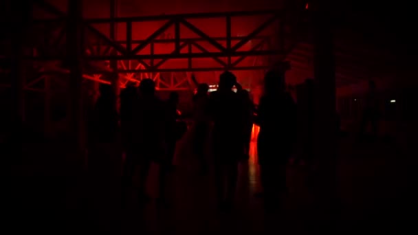 Cuerpo, club, baile, iluminado, láser, luz, vida nocturna, personas, rayo, espectáculo, silueta, centro de atención — Vídeo de stock