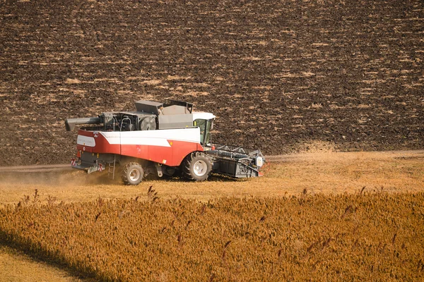 Комбайн урожай спелых пшеницы на ферме — стоковое фото