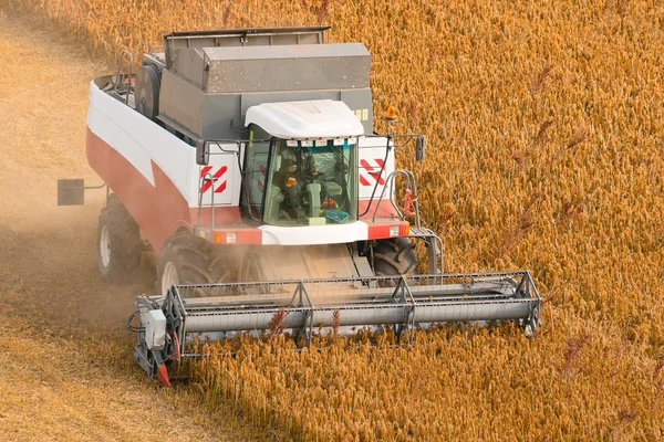 Комбайн урожай спелых пшеницы на ферме — стоковое фото