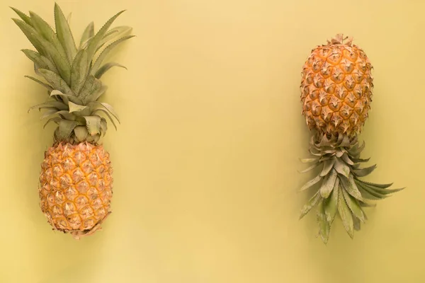 Yazıt, ananas Tay için meyve yer — Stok fotoğraf