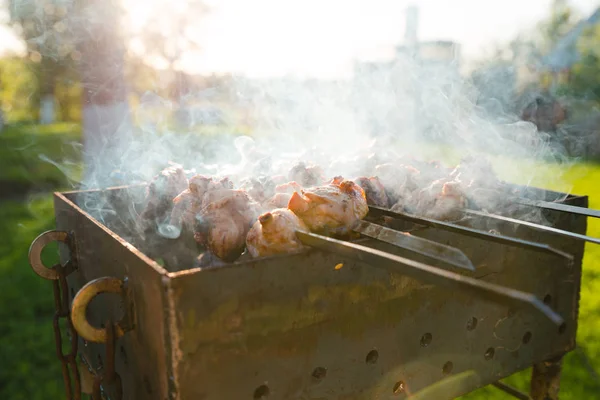 Shish kebab BBQ — Stock Photo, Image