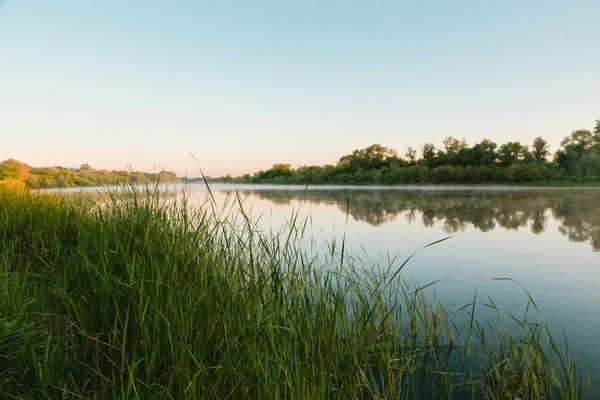 Rivier dawn riet — Stockfoto