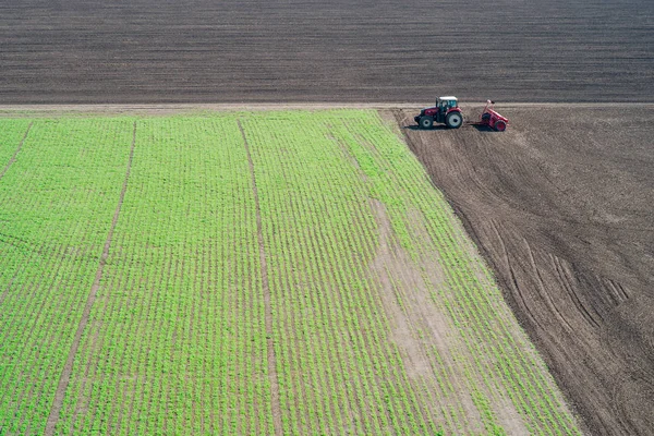 Traktor suggor på fältet — Stockfoto
