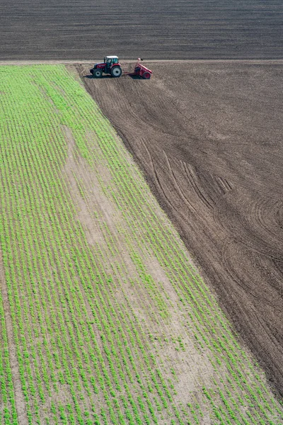 Tractor sows on the field — Stok Foto