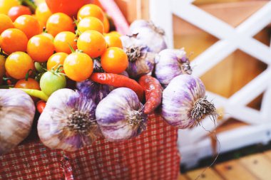 Sarımsak domates hasat