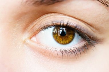 Kadın kahverengi gözleri