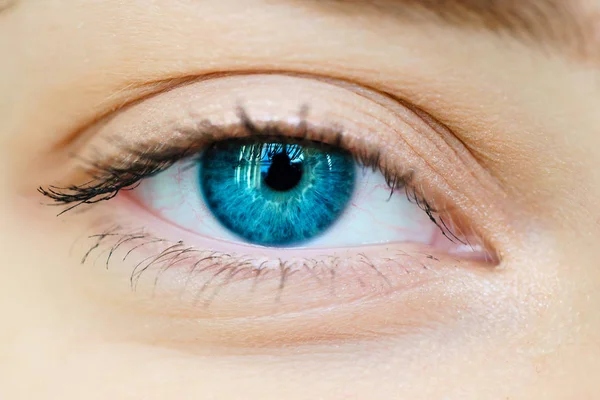 Imagen macro del ojo humano —  Fotos de Stock