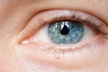 mavi bir erkek yakın çekim öğrenci bakışı