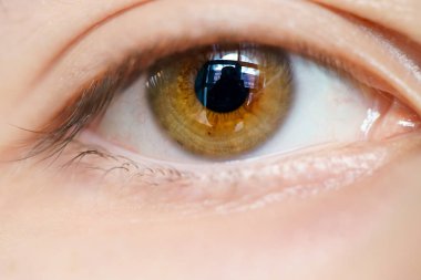 kahverengi göz makro