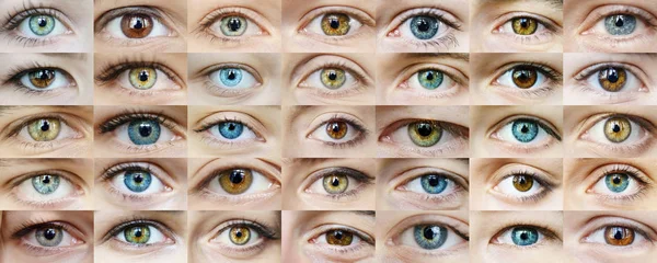 Augen sind viele — Stockfoto