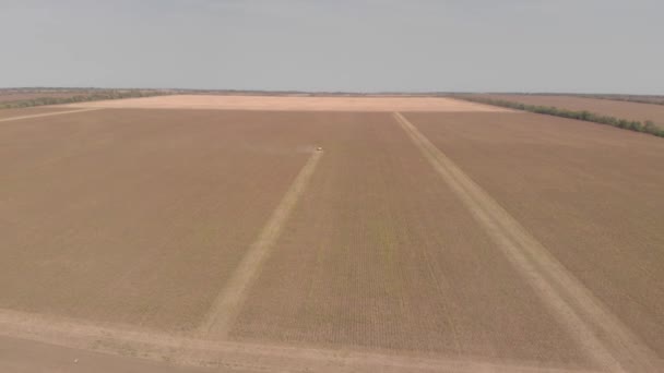 Zonnebloem reinigen met machines vanaf een hoogte — Stockvideo