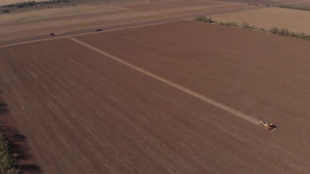 Sonnenblume mit Maschinen aus der Höhe reinigen — Stockvideo