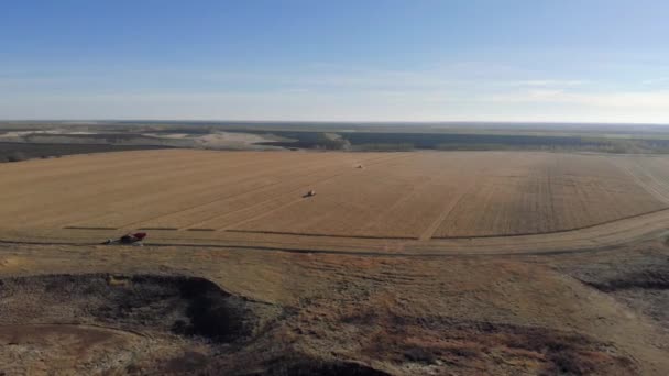 Збирання трактора кукурудзяного поля з висоти — стокове відео