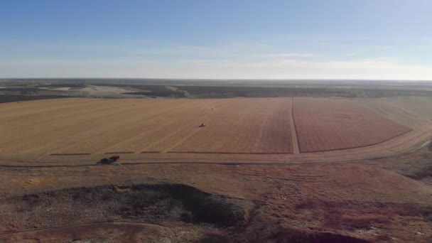 Cosechando un tractor de campo de maíz desde una altura — Vídeos de Stock