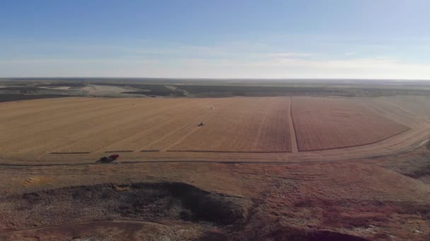 Збирання трактора кукурудзяного поля з висоти — стокове відео