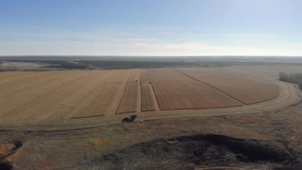 Sklizeň kukuřičného pole traktoru z výšky — Stock video