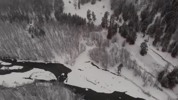 Gebirgsfluss Wald Schnee Berge Russland bedeckt Arkhyz von oben — Stockvideo