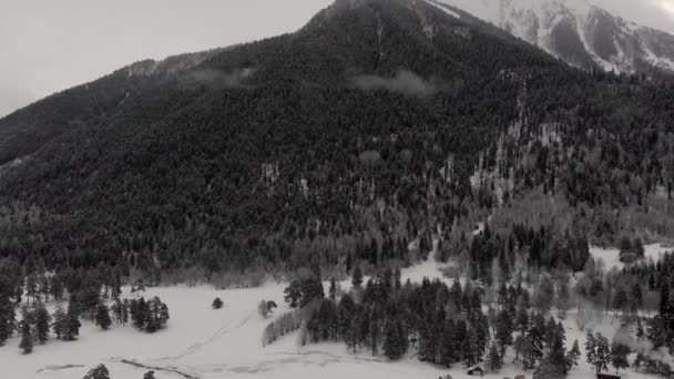 Гірський ліс Сніг Росія сірий над шаром стріляє з туману Росії Архиз — стокове відео