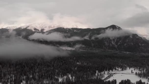 Berge Wald Schnee Russland Grau bewölkt Schießen Flug von oben Wolken Nebel Russland Arkhyz — Stockvideo