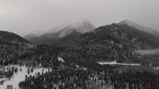 Bergen bos sneeuw Rusland grijsheid bewolkt schieten vlucht van boven wolken mist Rusland Arkhyz — Stockvideo