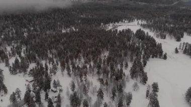 Orman bulutlu dağlar Arkhyz Rusya Kafkasya Bulutları