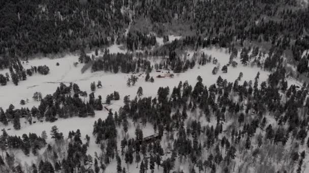 Δέντρα ορεινών δασών χιόνι γκρίζο χειμώνα Ρωσία Arkhyz κορυφή view — Αρχείο Βίντεο