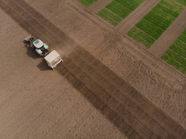 Champ de sélection du tracteur de colza de semence vue aérienne — Photo
