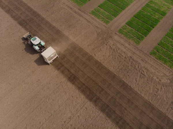 Seed rapeseed tractor selection field aerial view — Stock Photo, Image