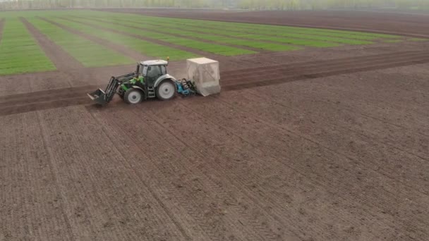 Rapsaussaat Traktor Auslese Feld Frühjahr. Im Hintergrund Weizenfelder. — Stockvideo